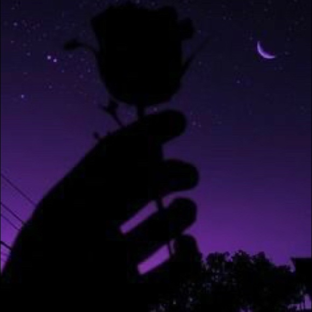 Meet your Posher, Firdausi